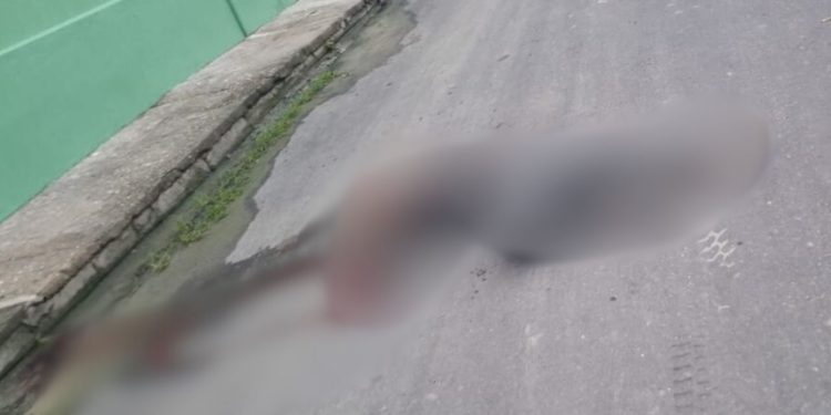 Homem é morto com tiro na cabeça no Parque São Pedro