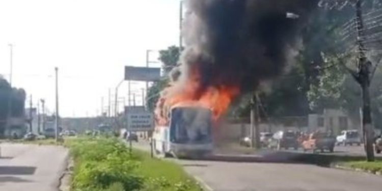 Vídeo: ônibus da São Pedro pega fogo na Avenida Torquato Tapajós