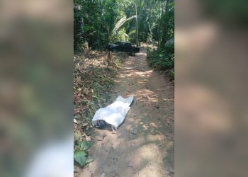 Funcionário sai com carro do patrão, colide em poste e morre eletrocutado no Amazonas