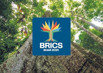 Sumaúma da Amazônia será o símbolo do Brics