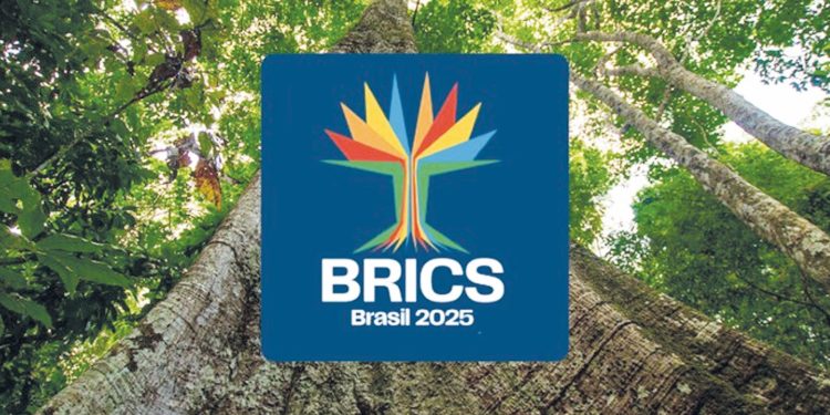 Sumaúma da Amazônia será o símbolo do Brics