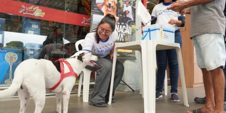 Oferta de vacina antirrábica é retomada em 10 supermercados de Manaus