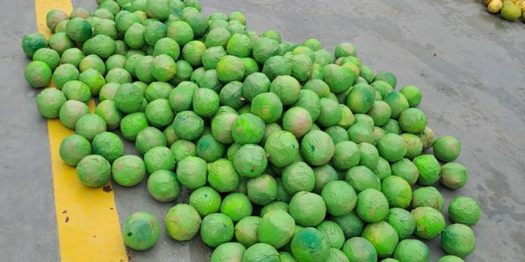 Cocaína disfarçada de limões é apreendida em Coari