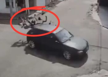 Câmera registra motorista bêbado atropelando mototaxista com 3 passageiros em Manacapuru