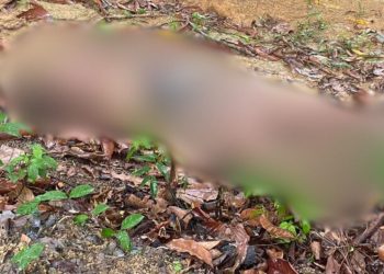 Travesti é estrangulada até a morte em terreno no Monte das Oliveiras