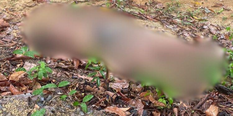 Travesti é estrangulada até a morte em terreno no Monte das Oliveiras