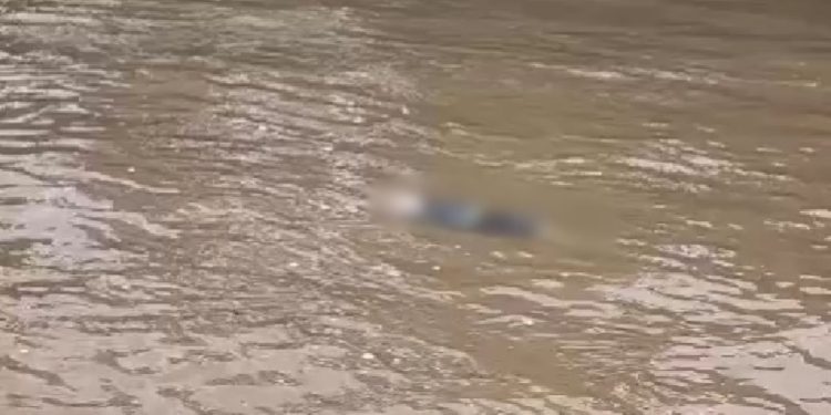 Ribeirinhos do interior do Amazonas encontram corpo boiando no rio