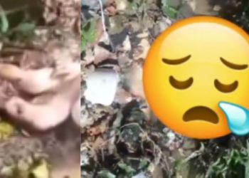 IML é acionado para remover feto no Distrito Industrial