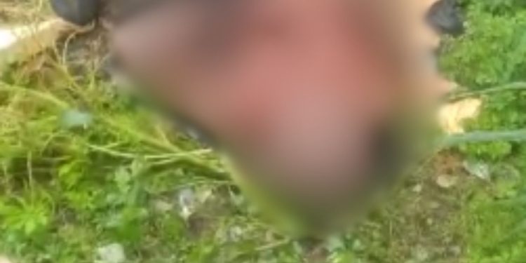 Neguinho' dá último suspiro de vida ao levar facada no coração em Manaus