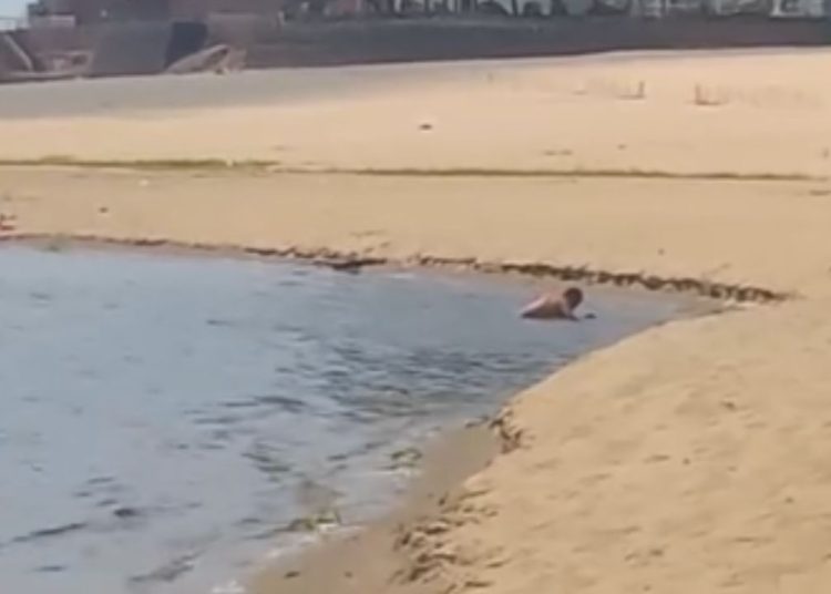 Casal é filmado dando uma 'lapada' na Praia da Ponta Negra: "Não respeita nem a criança"
