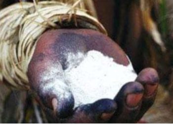 Crença antiga diz que índios não consomem sal