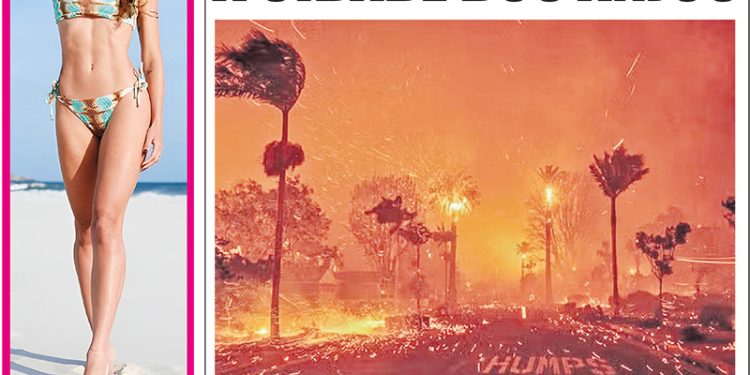 5337 – EDIÇÃO DIGITAL