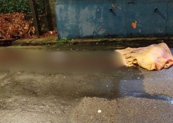 Mulher escuta gritos e encontra irmão morto a facadas na frente de casa no Japiim