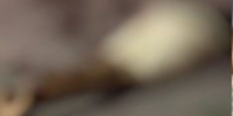 Briga entre quatro homens deixa um morto e um ferido no bairro Alvorada