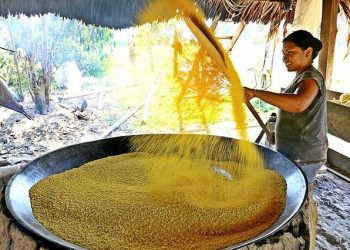 O senador Eduardo Braga conseguiu incluir alguns alimentos vitais para os amazonenses na Reforma Tributária, como farinha, peixe e a goma de tapioca, além dos alimentos essenciais