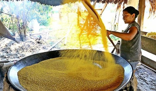 O senador Eduardo Braga conseguiu incluir alguns alimentos vitais para os amazonenses na Reforma Tributária, como farinha, peixe e a goma de tapioca, além dos alimentos essenciais