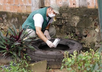 Em uma semana apenas, já foram confirmados 16 casos de dengue só na área urbana de Manaus