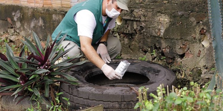 Em uma semana apenas, já foram confirmados 16 casos de dengue só na área urbana de Manaus
