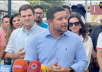 Ações de arborização transformarão a cidade em 2025