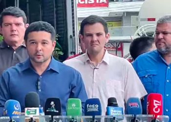 Arborização da avenida Max Teixeira