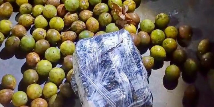 Polícia encontra maconha escondida em sacas de tucumã no AM