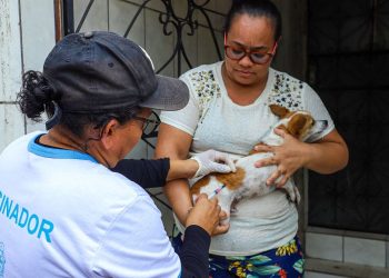 Prorrogado! Prazo para vacinação antirrábica vai até 31 de março
