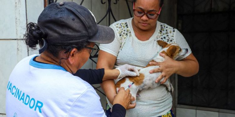 Prorrogado! Prazo para vacinação antirrábica vai até 31 de março