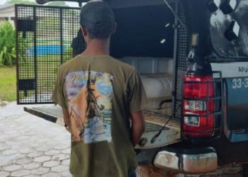 Paraense foge para o Amazonas após degolar adolescente de 16 anos