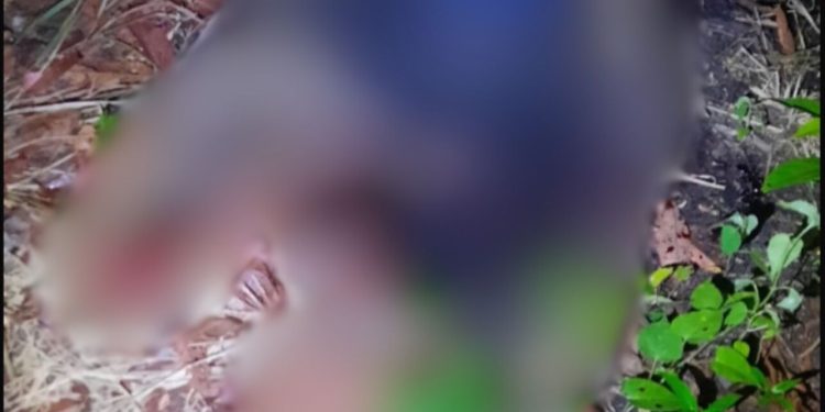 Terçadadas na cabeça: jovem de 20 anos é achado morto no interior do Amazonas