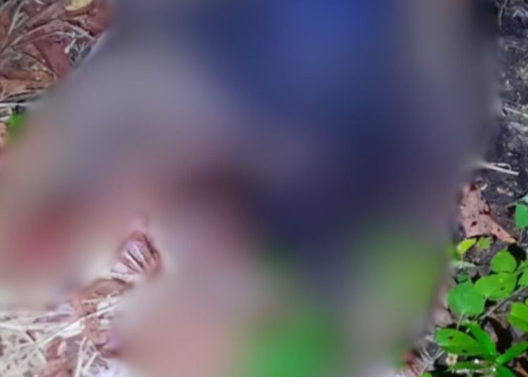Terçadadas na cabeça: jovem de 20 anos é achado morto no interior do Amazonas