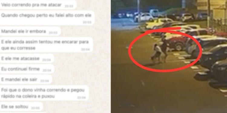 Moradora de condomínio onde mulheres foram mordidas por pitbull relata episódio semelhante: ‘fiquei em pânico’