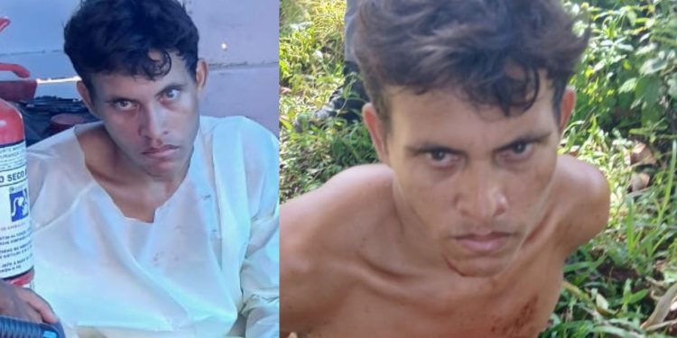 Endiabrado, filho dá tiro de espingarda no pai e foge com medo da polícia no Amazonas