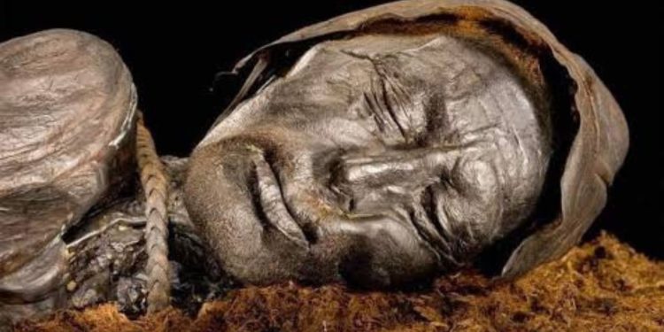 O mistério do pântano maldito que a ciência não explica