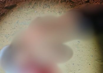 Com quatro tiros, homem é encontrado morto no Ramal do Brasileirinho