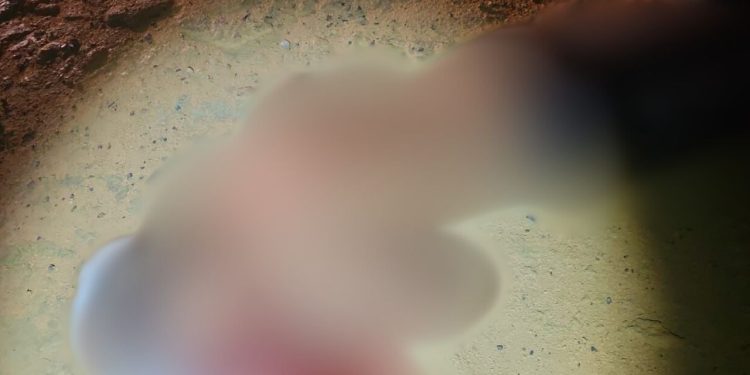 Com quatro tiros, homem é encontrado morto no Ramal do Brasileirinho