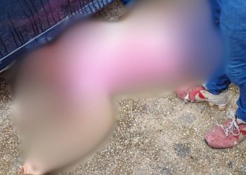 Borracheiro é baleado enquanto trabalhava e morre dentro da ambulância em Manaus