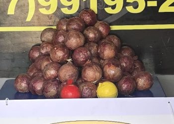 Cocaína é achada pela polícia dentro de cebolas no Amazonas