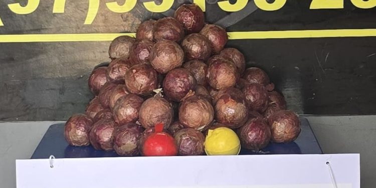 Cocaína é achada pela polícia dentro de cebolas no Amazonas