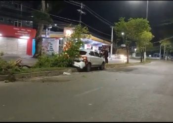 Dormiu e colidiu contra uma árvore na André Araújo