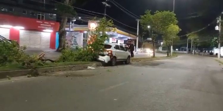 Dormiu e colidiu contra uma árvore na André Araújo