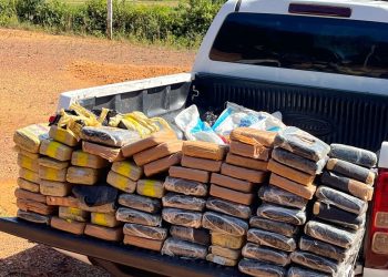 Incineradas drogas avaliadas em R$ 2 milhões