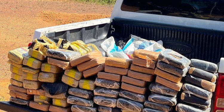 Incineradas drogas avaliadas em R$ 2 milhões