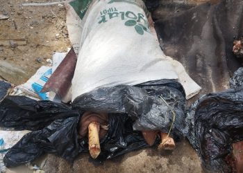 Monte o quebra-cabeça. Esquartejado e jogado no meio do lixão