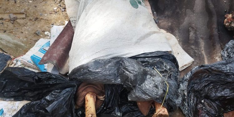 Monte o quebra-cabeça. Esquartejado e jogado no meio do lixão