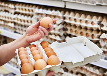 Ovo de ouro; trotes atrapalham o meio de campo; quem pode manda, quem tem juízo, obedece.