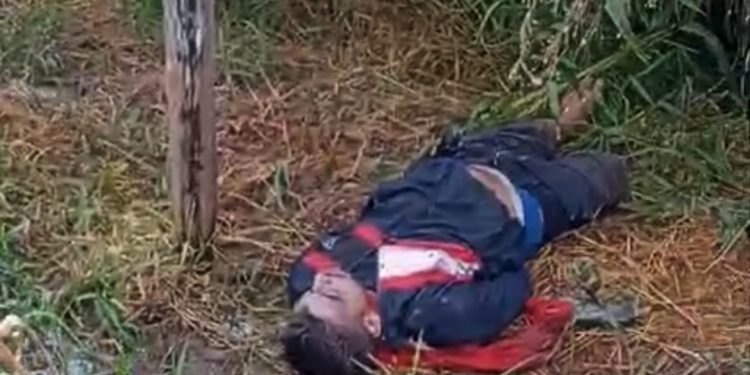 Presuntinho é encontrado no Val Paraíso. Veja o vídeo