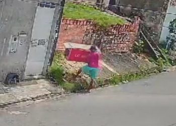 Veja o vídeo: Homem abandona cachorros dentro de uma caixa