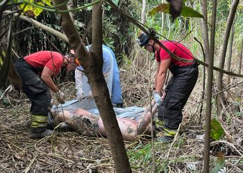 HOMICÍDIO  – DESOVADO EM COVA RASA