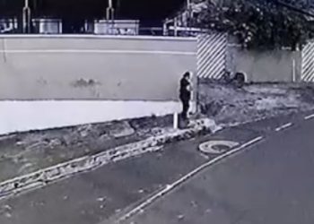 Vídeo. Veja momento que mulher é atropelada pelo micro-ônibus