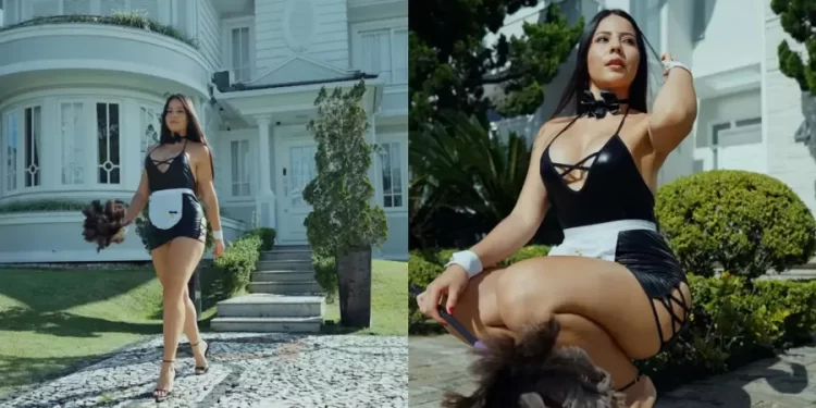 “Empregada do prazer” mulher oferece serviços domésticos nua